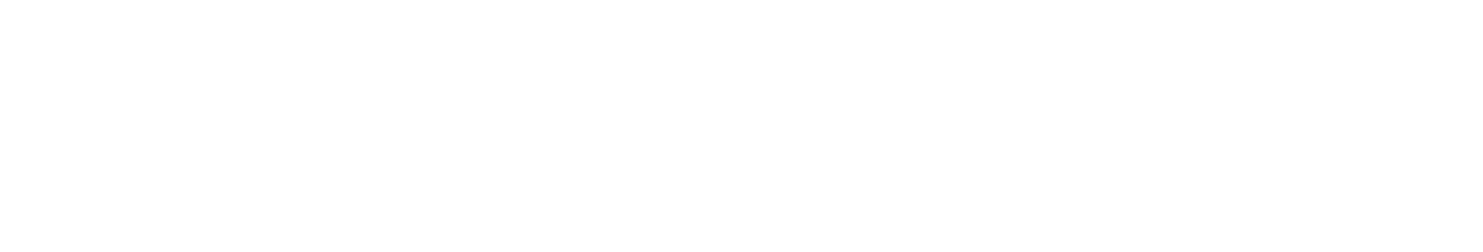Web Crew Studio – Software House Wrocław